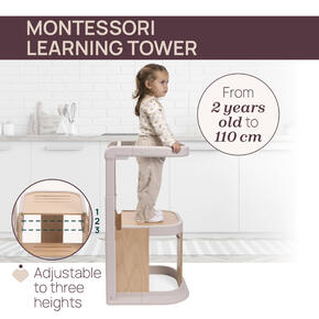 Torre de Aprendizagem Evolutiva Meraviglia 