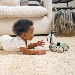 Black & White Décor Rolling Toy