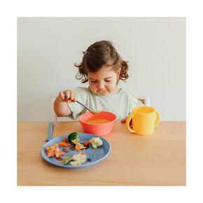 Conjunto de Alimentação 