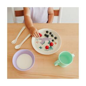 Conjunto de Alimentação 