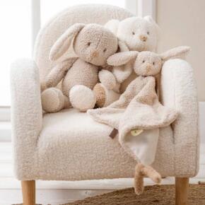 Coelho Teddy