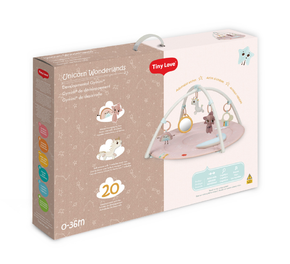 Unicorn Wonderlands Developmental Gymini®