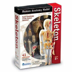 Esqueleto Humano 23 cm
