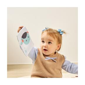 Conjunto de cartões Ocean 
