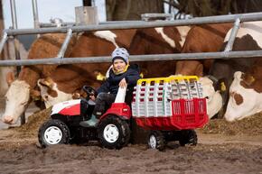 RollyHay Reboque