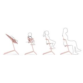Lemo 3 em 1 - Cybex