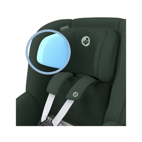 Pearl 360º 