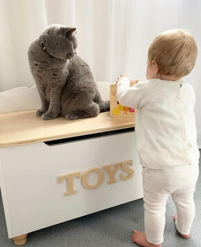 Toy Box
