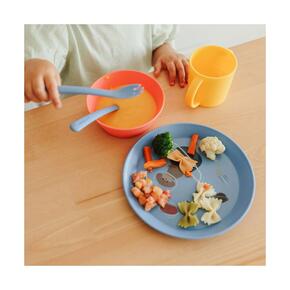 Conjunto de Alimentação 