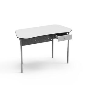 Desk 21 – Professor