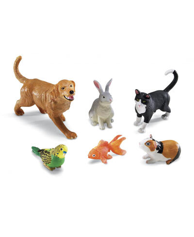 Animais De Estimação