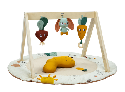 Garden of Adventures Luxe Developmental Gymini