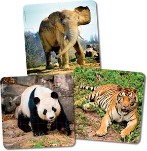 Conjunto de puzzles de animais