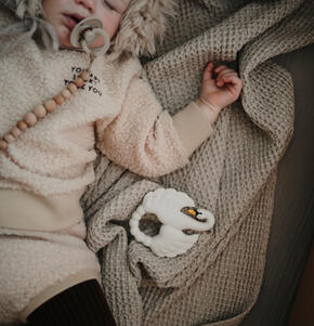 Mordedor Cisne Blanco