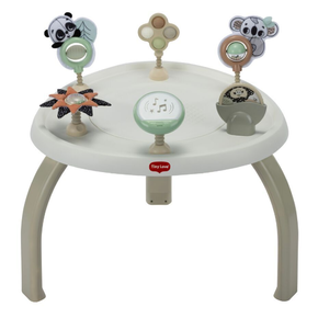 Centro de Atividades Jump & Play 4 em 1