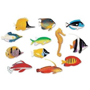 Peixes Divertidos 