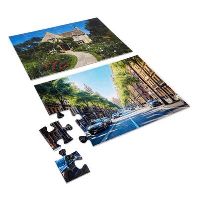 Puzzle World in Pieces