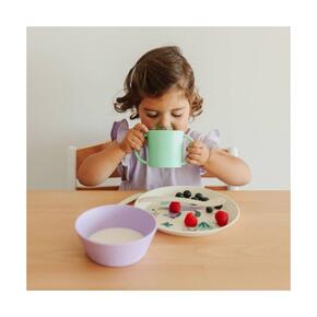 Conjunto de Alimentação 