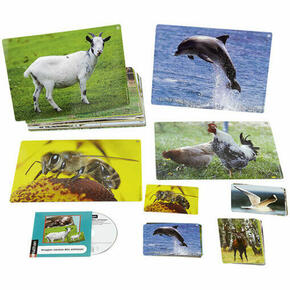 Imagens Sonoras: Animais