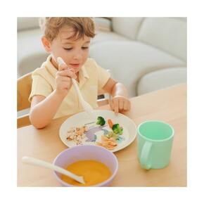 Conjunto de Alimentação 