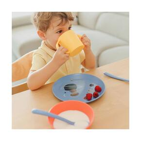 Conjunto de Alimentação 