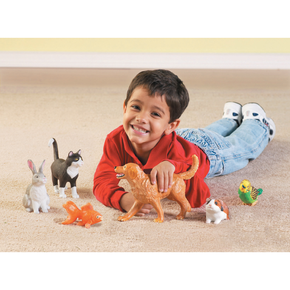Animais De Estimação