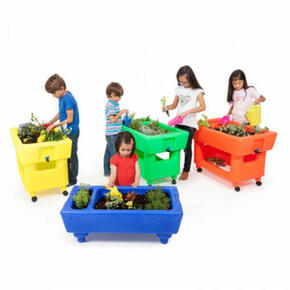 Horta Escolar + Acessórios