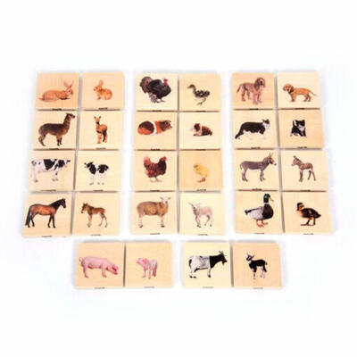 Encontre correspondências para animais de estimação