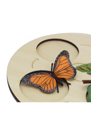 Metamorfose da Borboleta