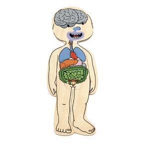 Puzzle Do Corpo Humano Ao Esqueleto - Menina
