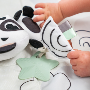 Musical Smart Toy Panda