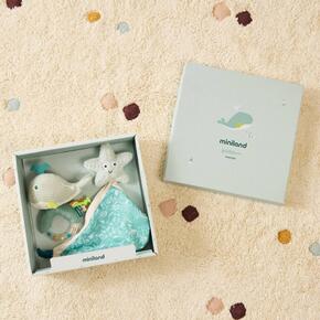 Ocean Gift Pack