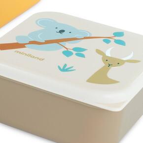 Conjunto de 3 recipientes Animais da Selva 