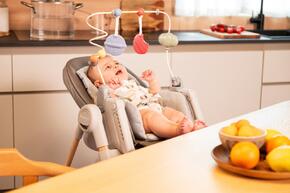 Toybar Polly Arco brinquedos Polly Armonia