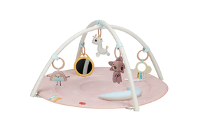 Unicorn Wonderlands Developmental Gymini®
