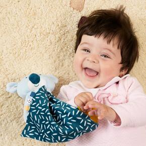 Koala Gift Pack