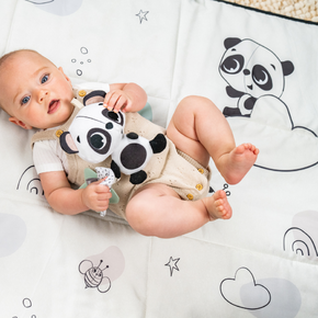 Musical Smart Toy Panda