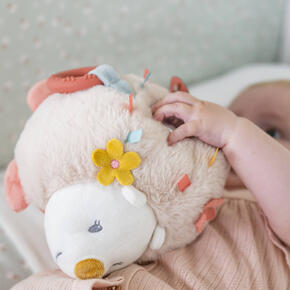 Peluche de atividades - Ouriço