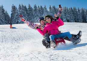rollySnow Cruiser