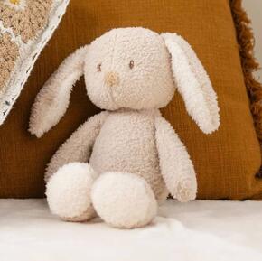 Coelho Teddy