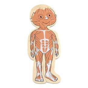 Puzzle Do Corpo Humano Ao Esqueleto - Menina