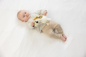 Unicorn Wonderlands Take Along Musical Toy